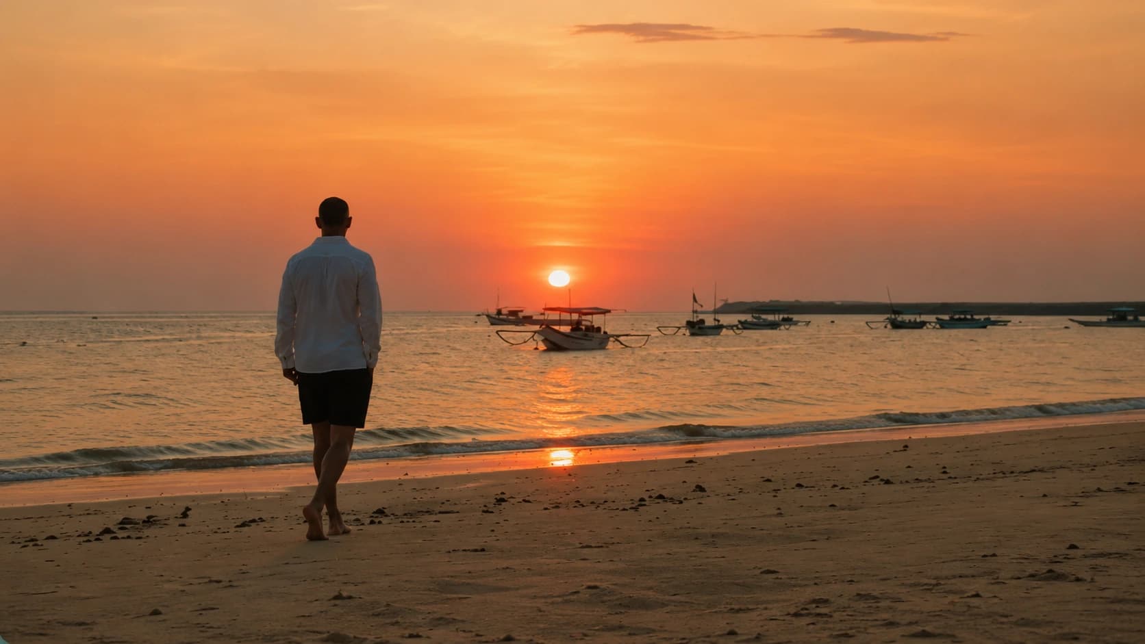 Pronoia environment for the Internal Authority Development programme