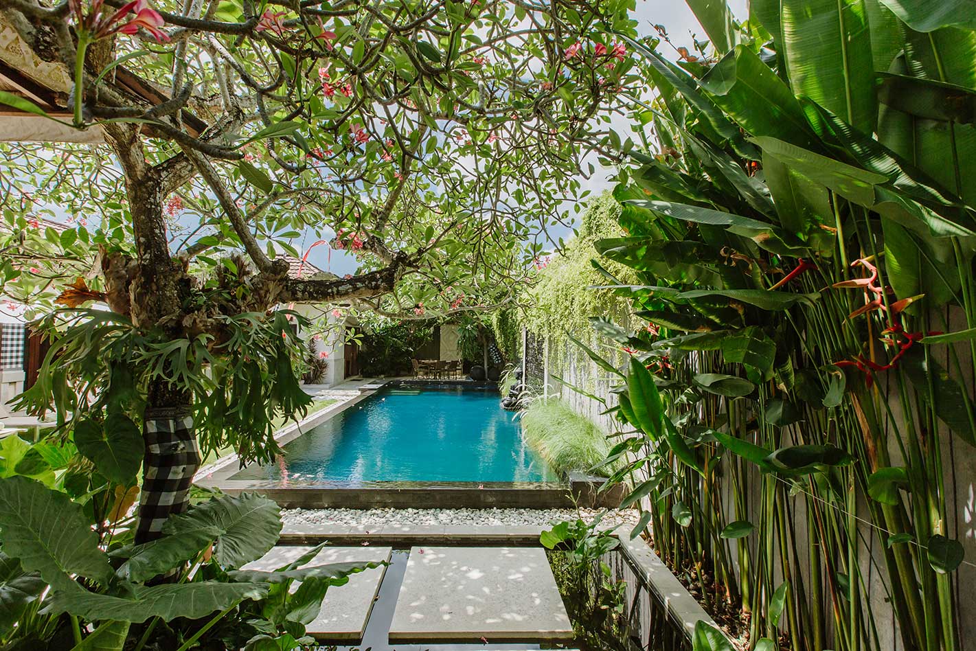 Private pool surrounded by tropical planting