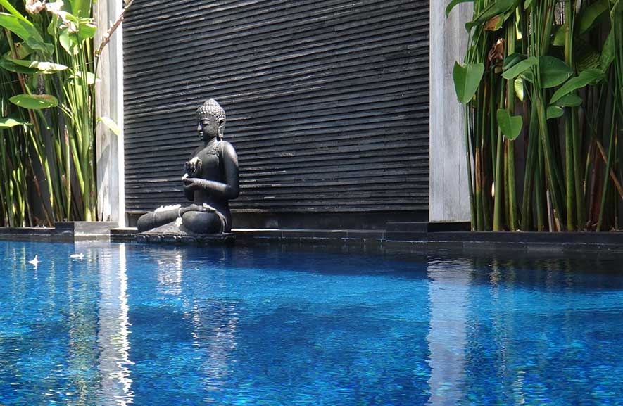 Private pool with a stone water feature